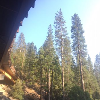 Calaveras Big Trees State Park - Under the bridge from the river view - Parks Near Me - Arnold, California