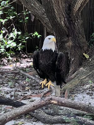 North Carolina Aquarium at Fort Fisher by null