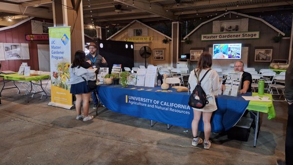 LA County Fair by null