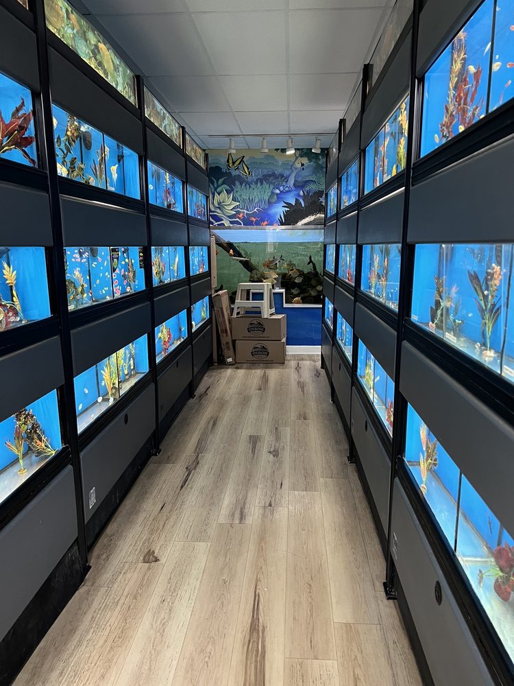 THE ANIMAL STORE Updated October 2024 100 Photos & 116 Reviews