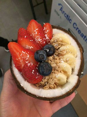Arctic Scoop by null