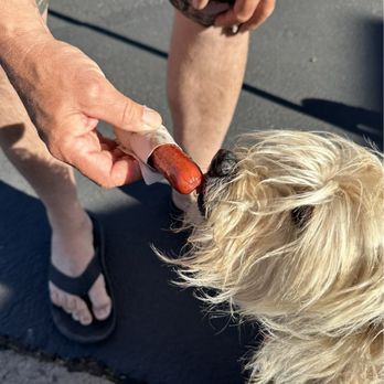 Route 66 Dog Haus - Free hot dog for our dog! - Hot Dogs Near Me - Flagstaff, Arizona Route 66 Dog Haus - Free hot dog for our dog! - Hot Dogs Near Me - Flagstaff, Arizona
