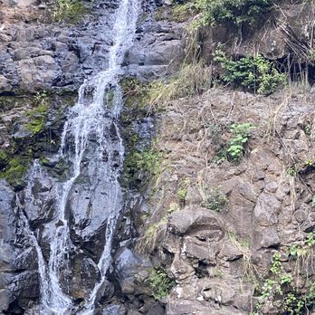 E Noa Tours - Waterfall at the gardens - Tours Near Me - Honolulu, Hawaii E Noa Tours - Waterfall at the gardens - Tours Near Me - Honolulu, Hawaii