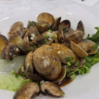 Maple's Kitchen - Black bean clams - Chinese Near Me - Markham, Ontario Maple's Kitchen - Black bean clams - Chinese Near Me - Markham, Ontario