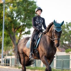 Reflection Dressage