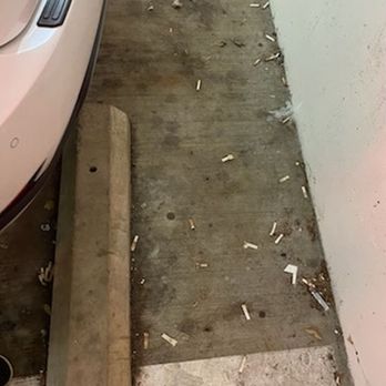 Harris Teeter - Cigarette butts. - Grocery Near Me - Vienna, Virginia