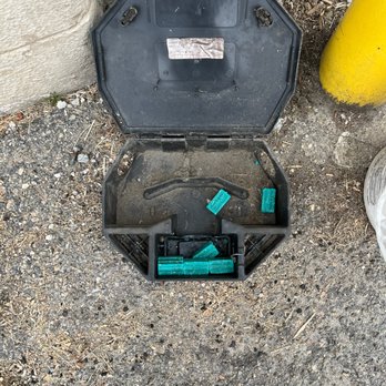 Terminix - Mouse poison at Tractor Supply thrown in by Terminix and falling out in outdoor customer living area. - Pest Control Near Me - Cumberland, Maryland Terminix - Mouse poison at Tractor Supply thrown in by Terminix and falling out in outdoor customer living area. - Pest Control Near Me - Cumberland, Maryland