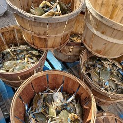 Serious Seafood
