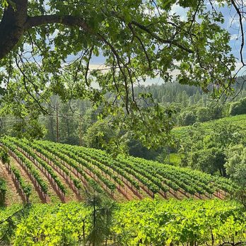 Boeger Winery - Wineries Near Me - Placerville, California