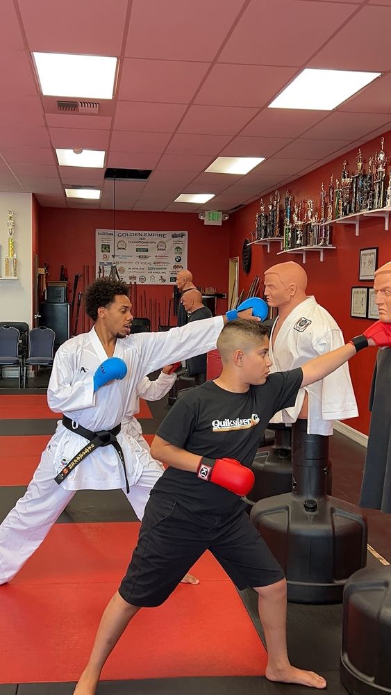 Japan Martial Arts Academy Logo