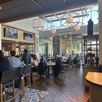 Tupelo Honey Southern Kitchen & Bar - Interior of Tupelo Honey - New American Near Me - Frisco, Texas Tupelo Honey Southern Kitchen & Bar - Interior of Tupelo Honey - New American Near Me - Frisco, Texas