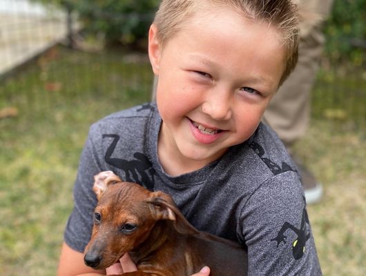 PUPPIES AND REPTILES FOR PARTIES - 146 Photos & 129 Reviews - Torrance