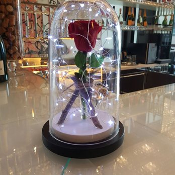 Mira Moon - Hotels Near Me - Hong Kong, HK