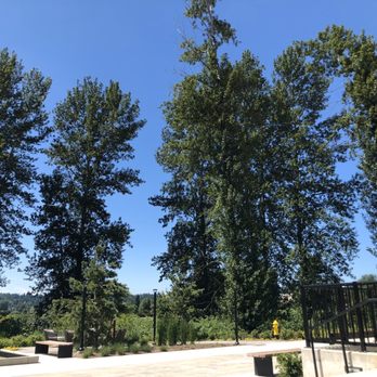 Bell Marymoor Park Apartments - Back yard bbq area - Apartments Near Me - Redmond, Washington Bell Marymoor Park Apartments - Back yard bbq area - Apartments Near Me - Redmond, Washington