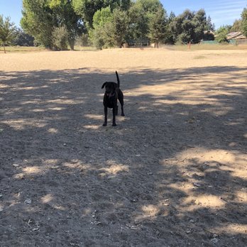 Off the leash Dog Park - Dog Parks Near Me - Yuba City, California Off the leash Dog Park - Dog Parks Near Me - Yuba City, California