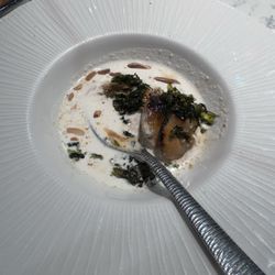 Casa Urola - Scallops