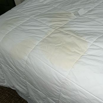 Comfort Suites Abingdon I-81 - Looked like urine stains!! - Hotels Near Me - Abingdon, Virginia