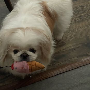 Metro Mobile Groomers - Pet Groomers Near Me Metro Mobile Groomers - Pet Groomers Near Me