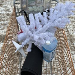 The Home Depot - Christmas! Supplies for a party...