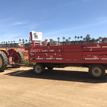 The Flower Fields - Venues & Event Spaces Near Me - Carlsbad, California The Flower Fields - Venues & Event Spaces Near Me - Carlsbad, California