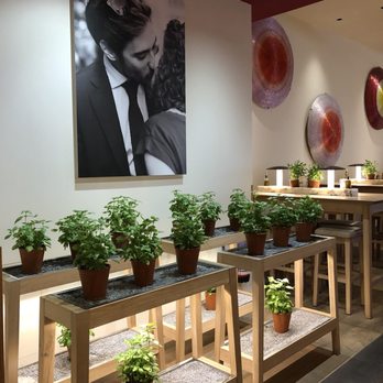Vapiano - Live plants everywhere! - Pizza Near Me - Paris, 75
