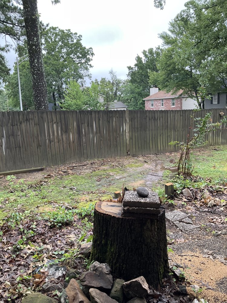 Millers Tree Service - tree service in Little Rock, AR