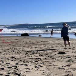 Sonoma Coast State Beach