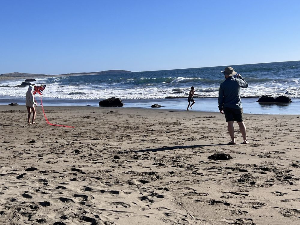 SONOMA COAST STATE BEACH SALMON CREEK Updated September 2024 129