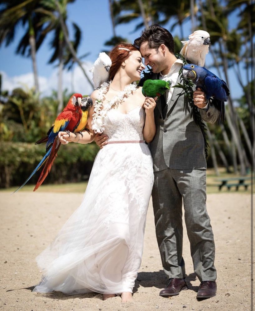 THE BIRD GUY Updated October 2024 59 Photos & 11 Reviews Honolulu