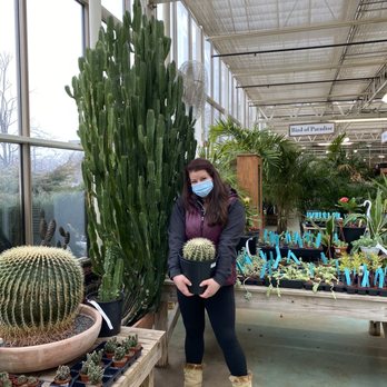 Merrifield Garden Center - All the cacti you could want - Nurseries & Gardening Near Me - Gainesville, Virginia