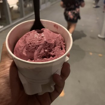 Salt & Straw - Boysenberry Oatmilk Sherbet - Ice Cream & Frozen Yogurt Near Me - San Ramon, California