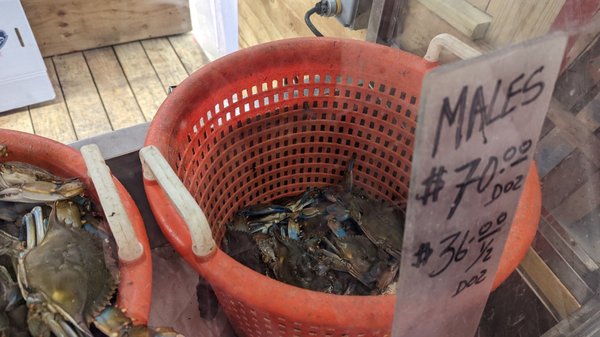 Anastasi Seafood by null