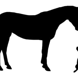 Barnyards & Backyards Farm and Pet Sitting