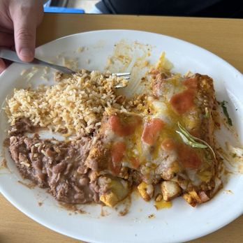 Taqueria El Pavoreal - CHICKEN ENCHILADAS - Food Trucks Near Me - Webster, Texas