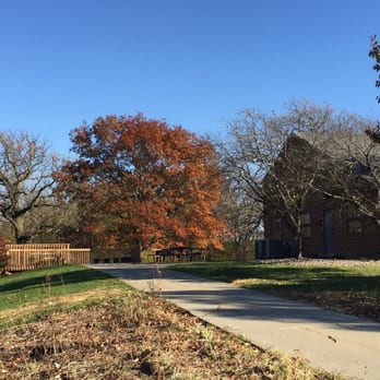 McFarland Park - One of several beautiful oak trees you will see when you go a wandering at McFarland Park - Parks Near Me - Ames, Iowa McFarland Park - One of several beautiful oak trees you will see when you go a wandering at McFarland Park - Parks Near Me - Ames, Iowa
