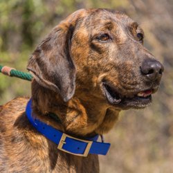 Bruce is lookin' for a new home!