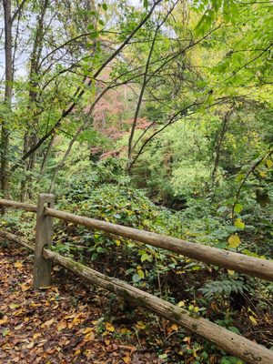 Wissahickon Valley Park by null