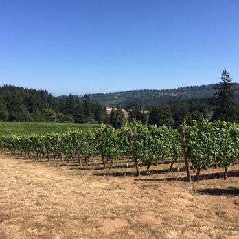 Blakeslee Vineyard Estate - Wine Tasting Room Near Me - Sherwood, Oregon