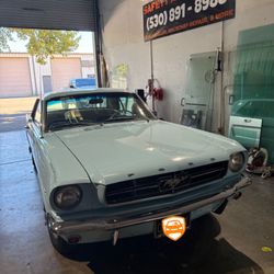 Safety Auto Glass - 64' Ford Mustang Front Windshield/Rear Windshield