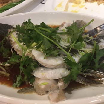 Phoenix Restaurant - Dim Sum Near Me - Chicago, Illinois Phoenix Restaurant - Dim Sum Near Me - Chicago, Illinois