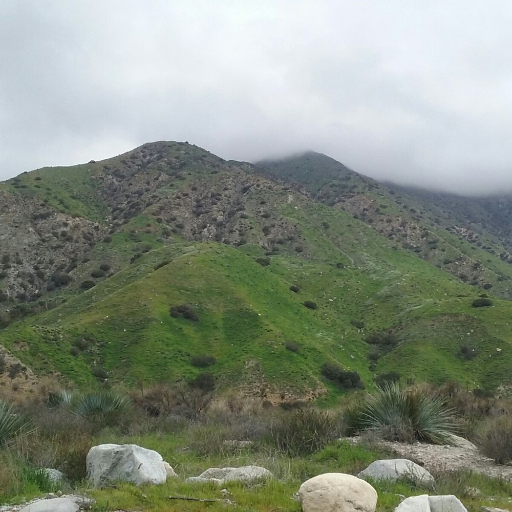 Big Tujunga Canyon - Low clouds over grasses and yucca - Hiking Near Me - Los Angeles, California Big Tujunga Canyon - Low clouds over grasses and yucca - Hiking Near Me - Los Angeles, California