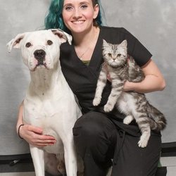 Spring Meadows Animal Hospital - untitled