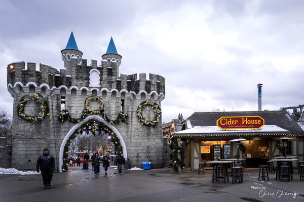 Canada's Wonderland by null