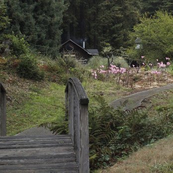 St Orres - Path to our cottage. This place is beautiful! - Hotels Near Me - Gualala, California St Orres - Path to our cottage. This place is beautiful! - Hotels Near Me - Gualala, California