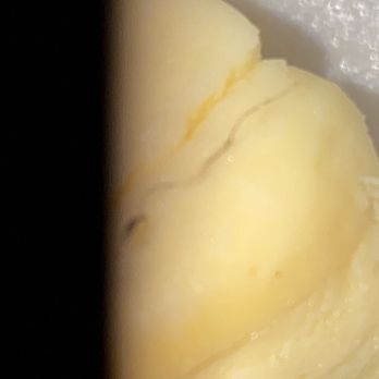 Chex - DO NOT EAT FROM HERE , I FOUND HAIR IN MY CHICKEN AND CHEESECAKE - Chicken Wings Near Me - Charlotte, North Carolina