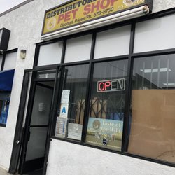 Pet Club - Entrance 2021