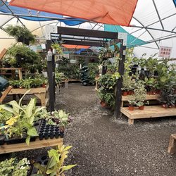Meadows Farms Nurseries - 7 Corners