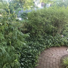 Beautiful landscaping? Beautiful landscaping?