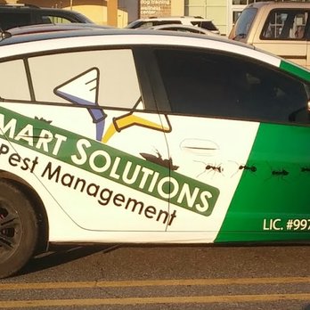 Smart Solutions Pest Management - Pest Control Near Me - Rio Grande, New Jersey Smart Solutions Pest Management - Pest Control Near Me - Rio Grande, New Jersey
