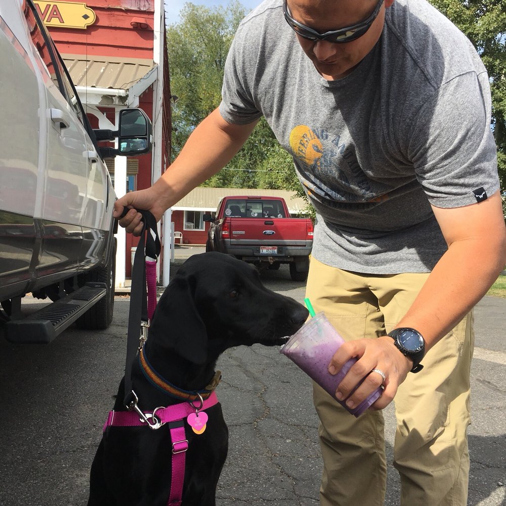 Roadhouse Java - a man feeding a black dog - Coffee & Tea Near Me - New Meadows, Idaho